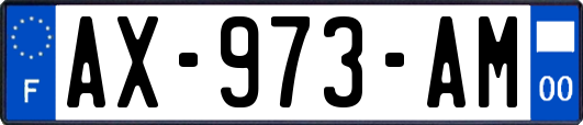 AX-973-AM