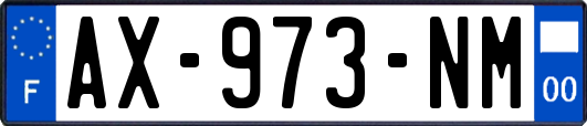 AX-973-NM