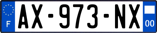 AX-973-NX
