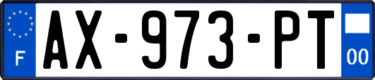 AX-973-PT