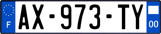 AX-973-TY