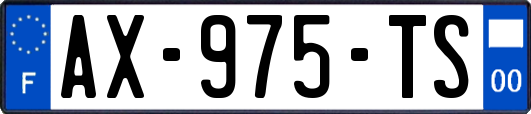 AX-975-TS
