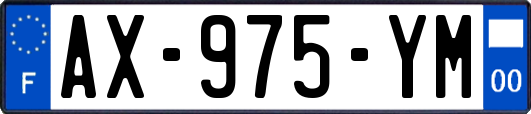 AX-975-YM
