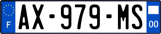 AX-979-MS