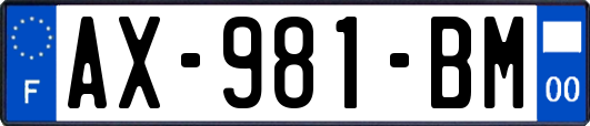 AX-981-BM