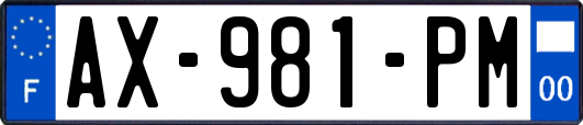 AX-981-PM