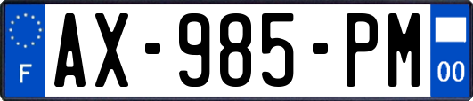 AX-985-PM