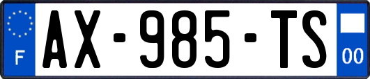 AX-985-TS