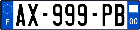 AX-999-PB
