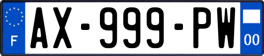 AX-999-PW