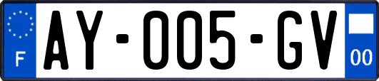 AY-005-GV