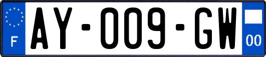 AY-009-GW