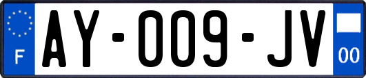 AY-009-JV