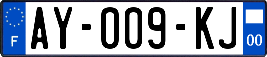 AY-009-KJ