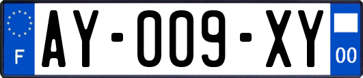 AY-009-XY