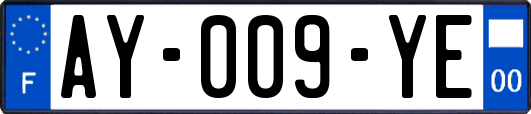 AY-009-YE