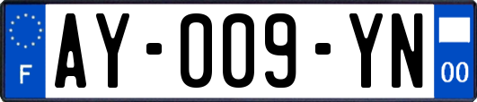 AY-009-YN