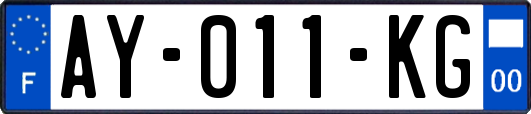 AY-011-KG