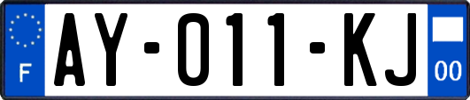 AY-011-KJ