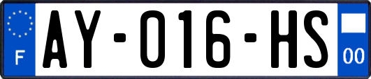 AY-016-HS