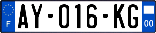 AY-016-KG