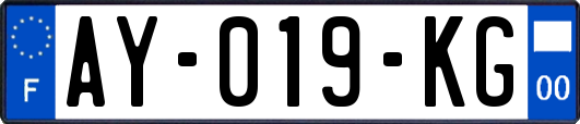 AY-019-KG