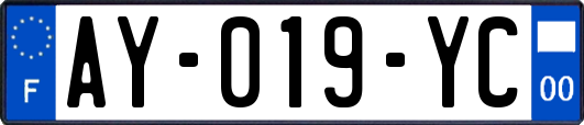 AY-019-YC