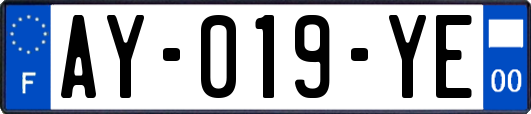 AY-019-YE