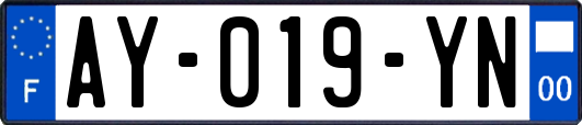 AY-019-YN