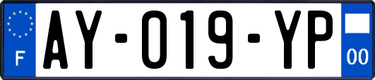 AY-019-YP