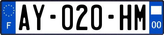 AY-020-HM