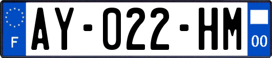 AY-022-HM