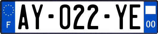 AY-022-YE
