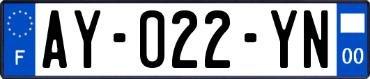 AY-022-YN