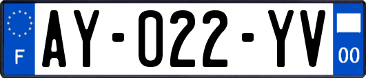AY-022-YV