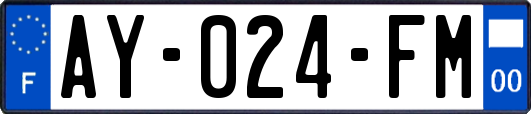 AY-024-FM