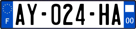 AY-024-HA