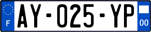 AY-025-YP