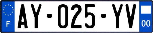 AY-025-YV