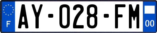 AY-028-FM