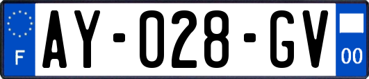 AY-028-GV