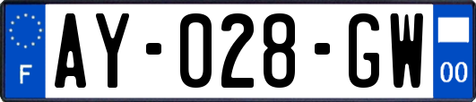 AY-028-GW