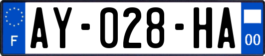 AY-028-HA