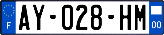AY-028-HM