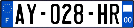 AY-028-HR