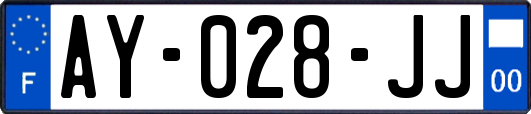 AY-028-JJ