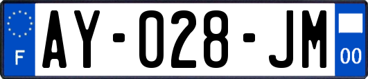 AY-028-JM