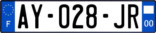 AY-028-JR