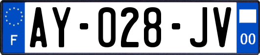 AY-028-JV