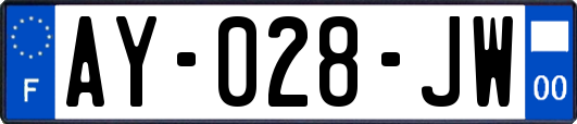 AY-028-JW